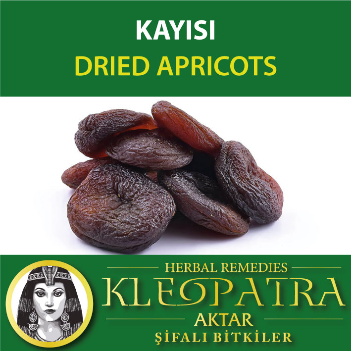 KAYISI