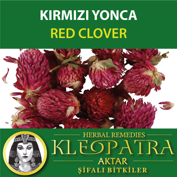 KIRMIZI YONCA