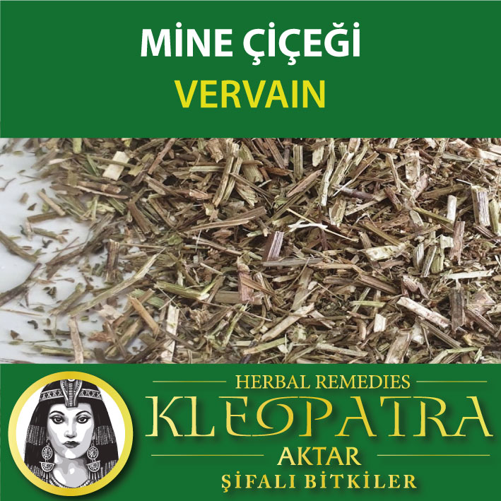 MİNE ÇİÇEĞİ