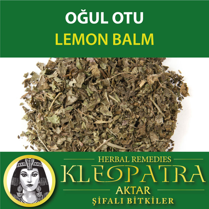 OĞUL OTU