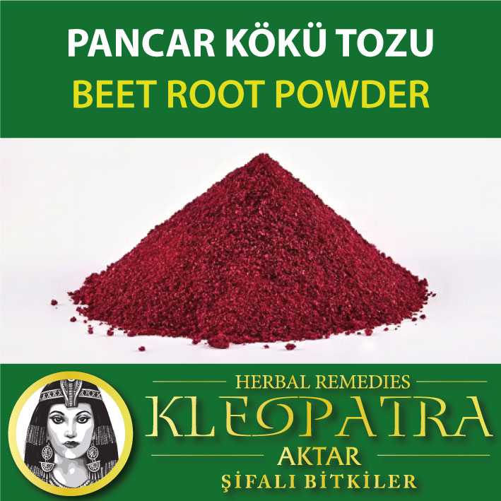 PANCAR KÖKÜ TOZU