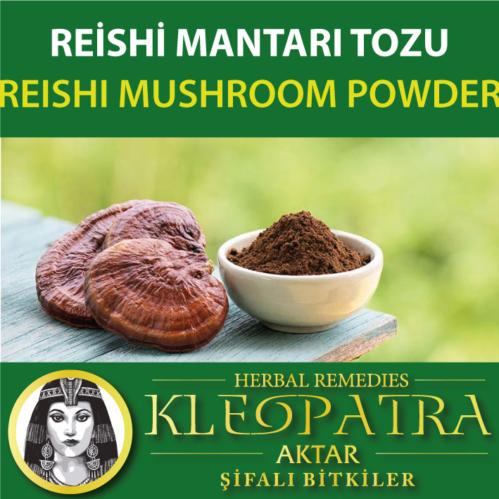 REİSHİ MANTARI TOZU