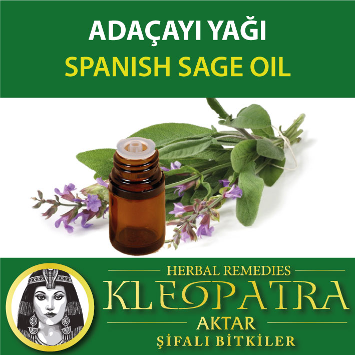 ADAÇAYI YAĞI