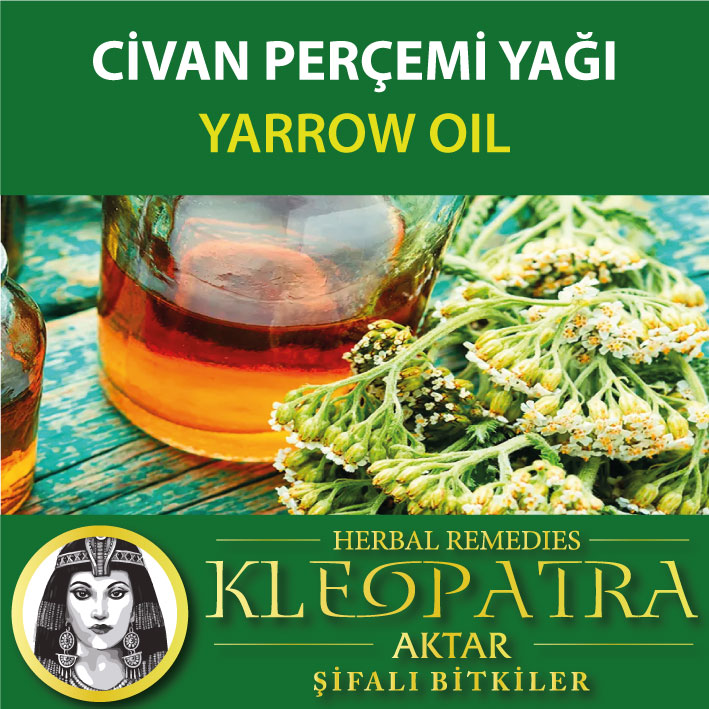 CİVAN PERÇEMİ YAĞI