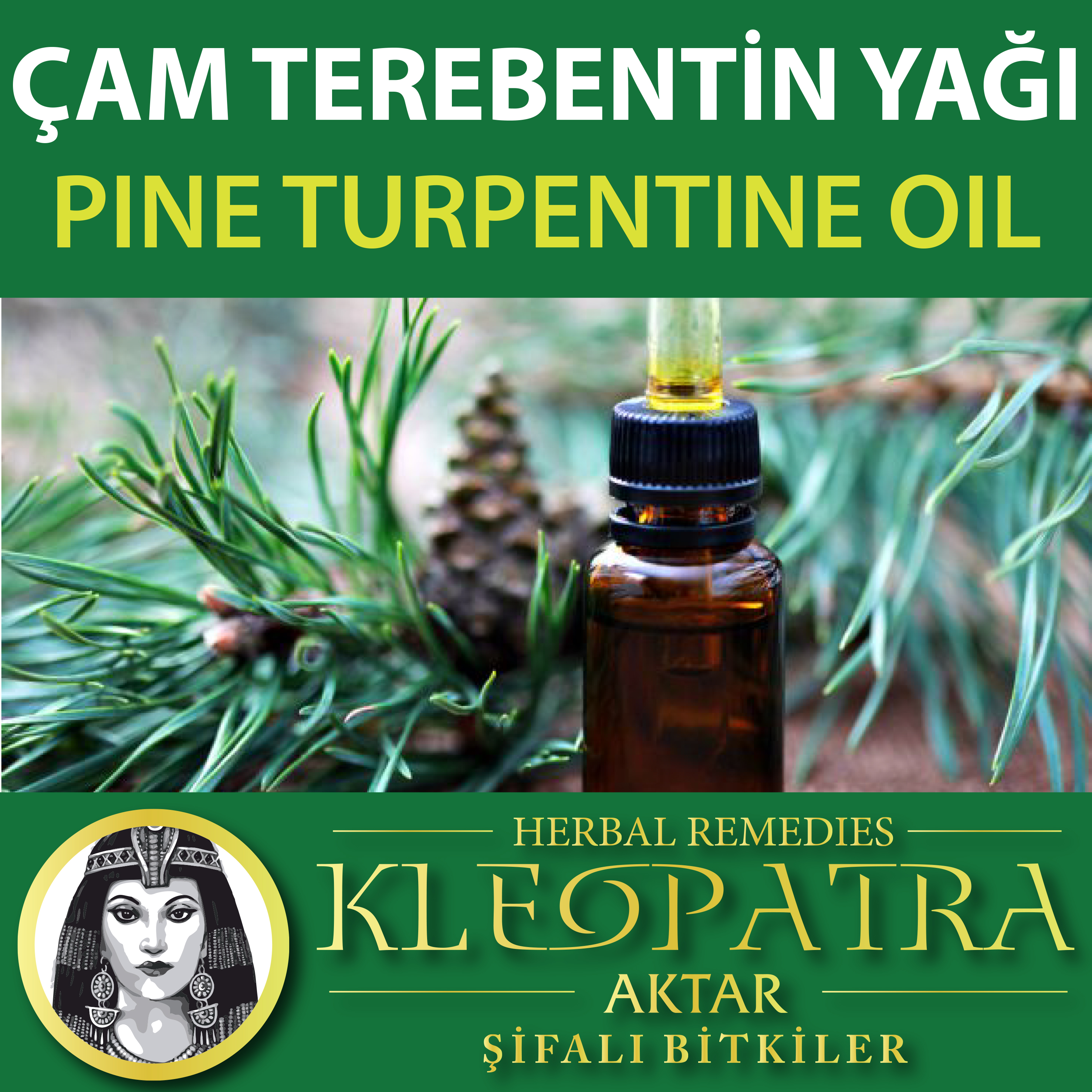 ÇAM TEREBENTİN ESANSI