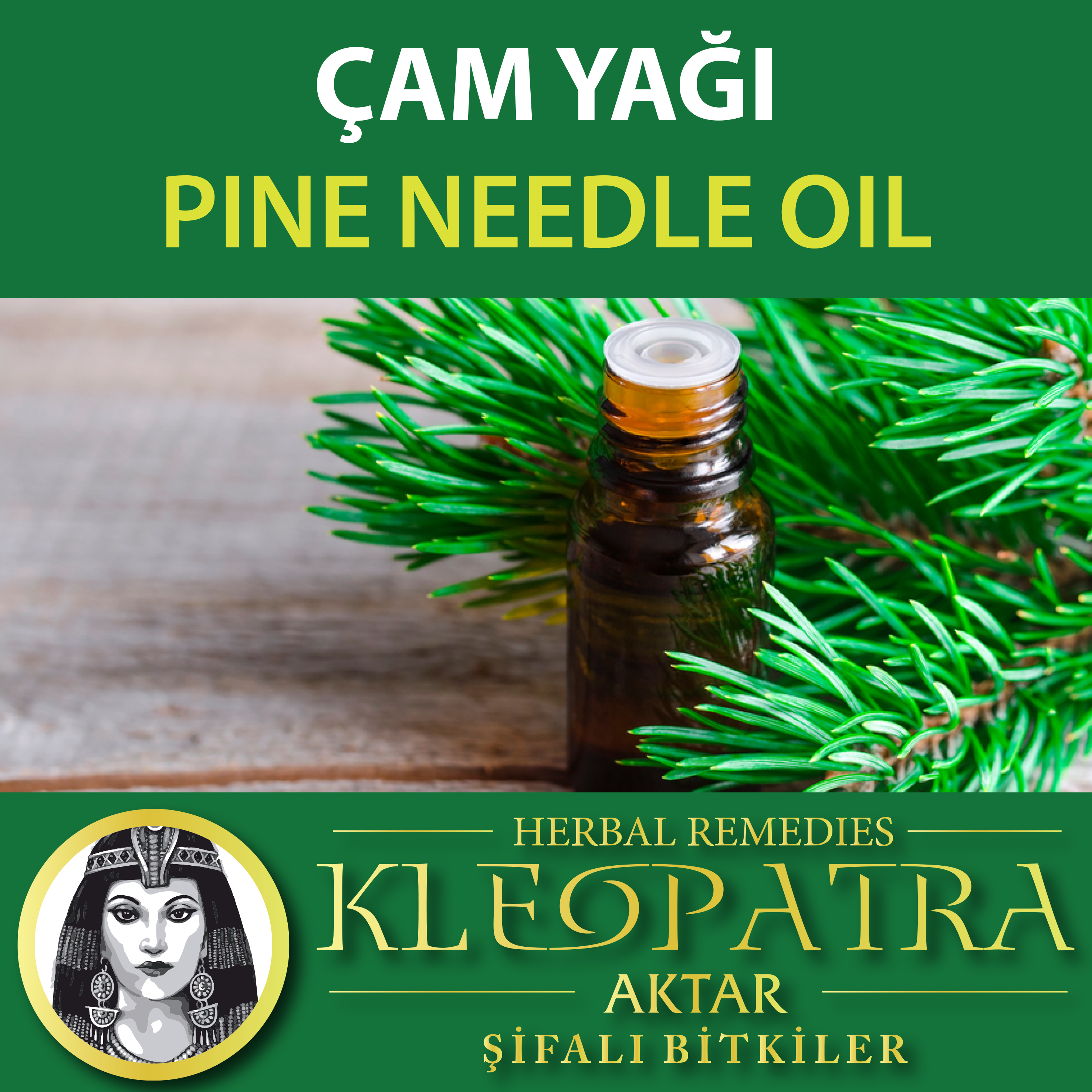 ÇAM YAĞI