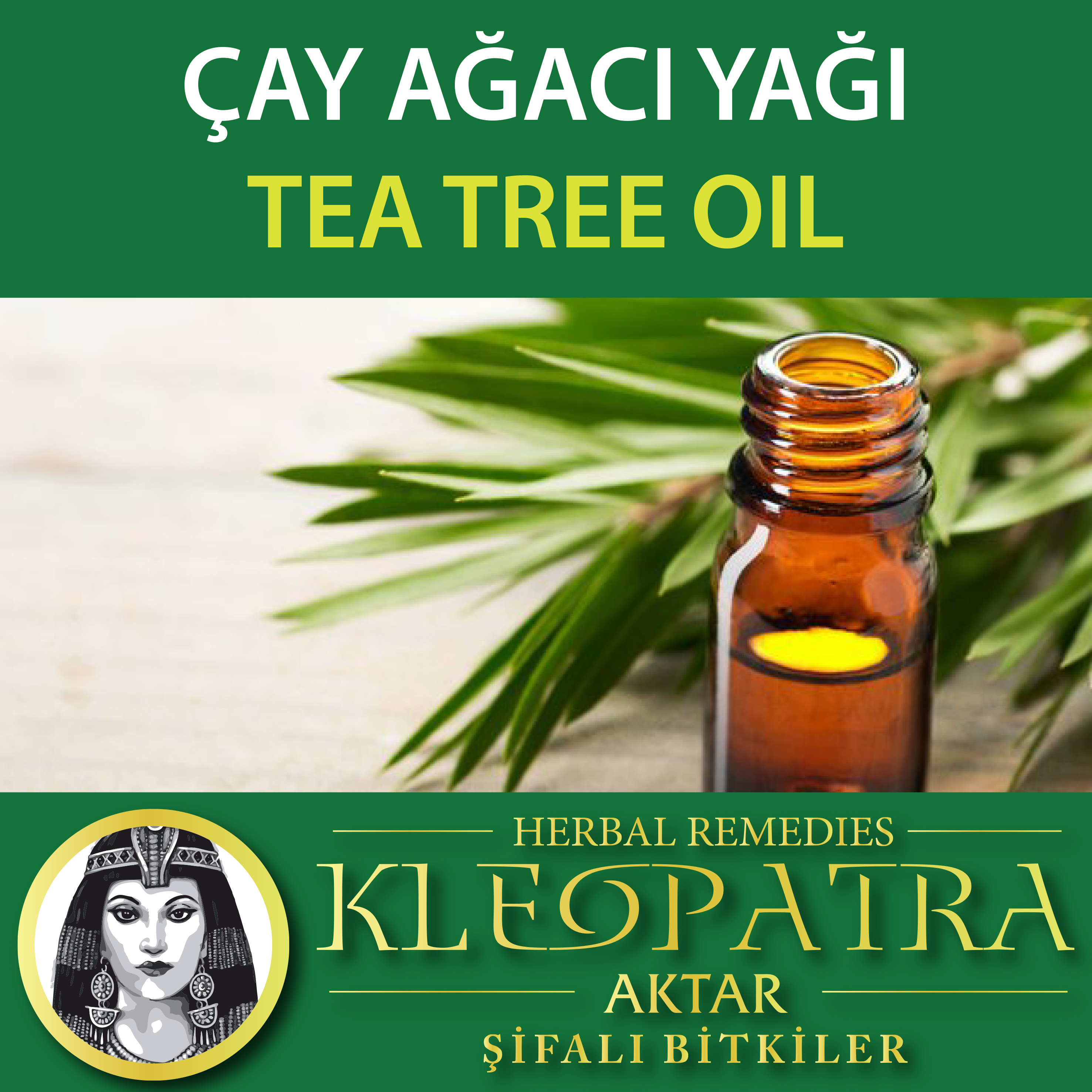 ÇAY AĞACI YAĞI