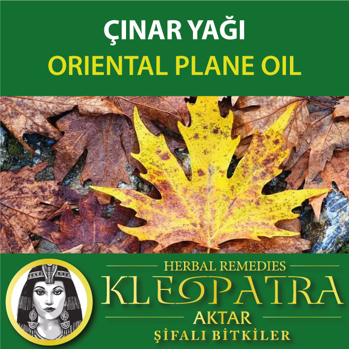 ÇINAR YAĞI
