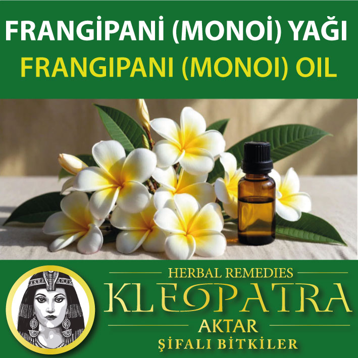 FRANGİPANİ (MONOİ) YAĞI