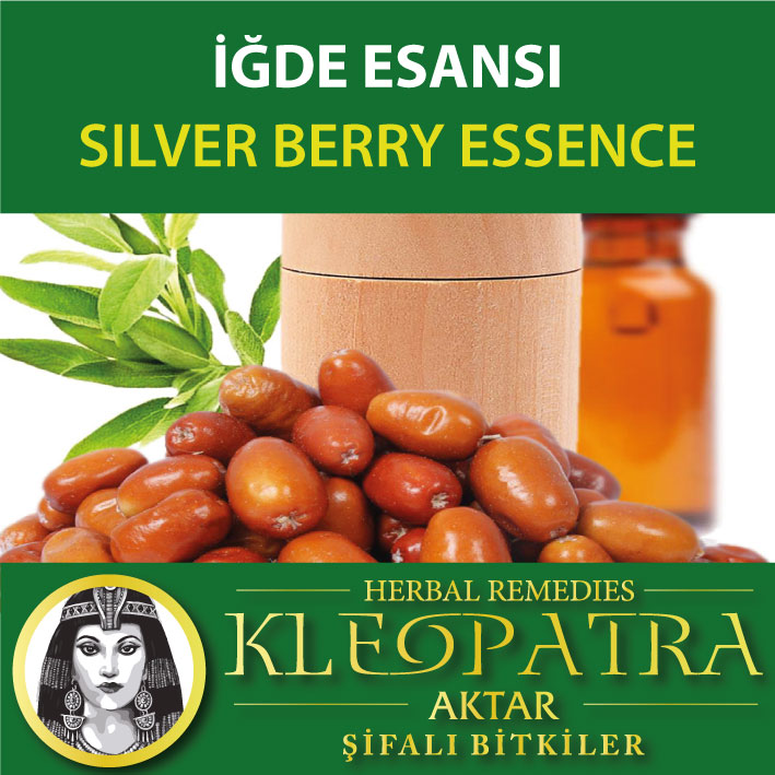 İĞDE ESANSI