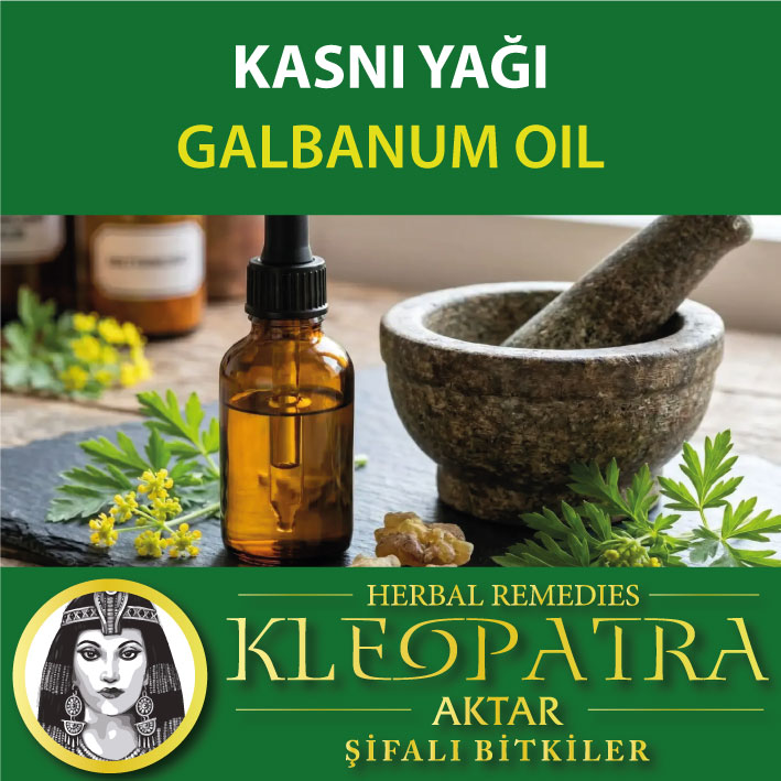 KASNI YAĞI