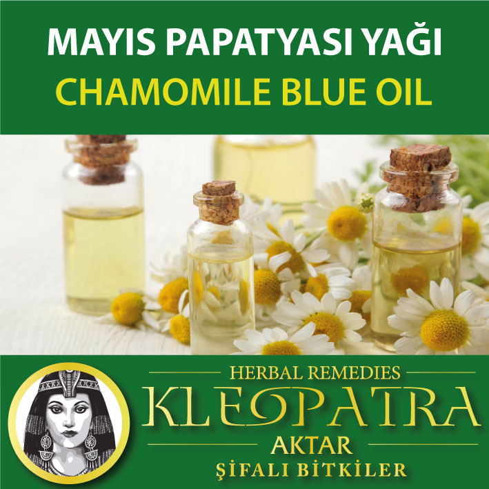 MAYIS PAPATYASI YAĞI