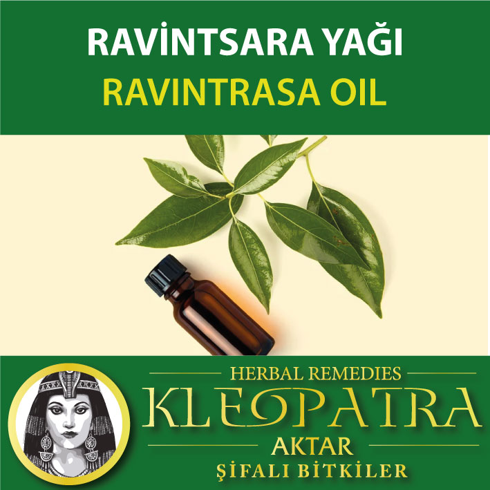 RAVİNTSARA YAĞI