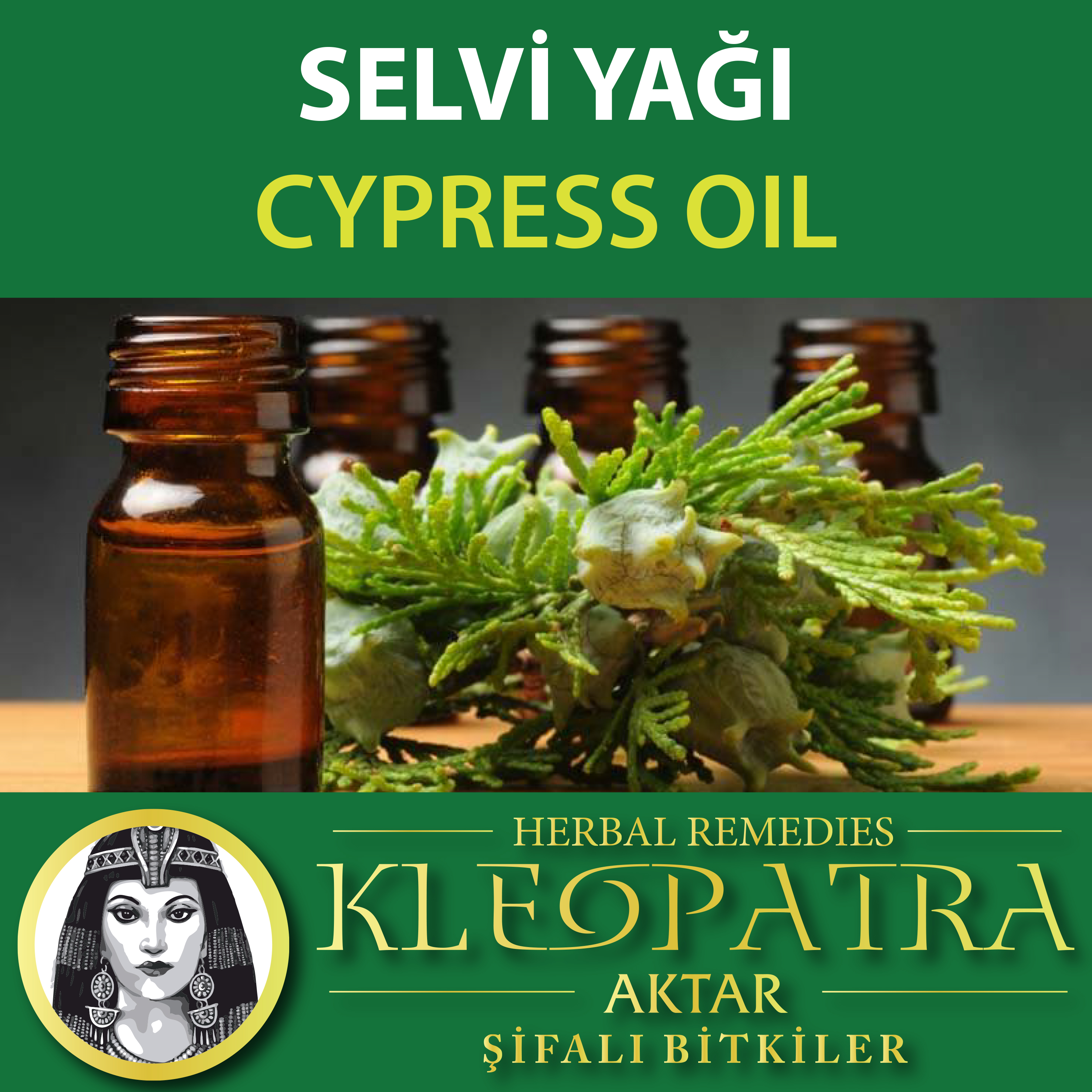 SELVİ YAĞI